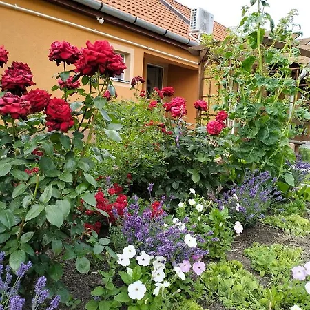 Apartamento Levendulas Haz *